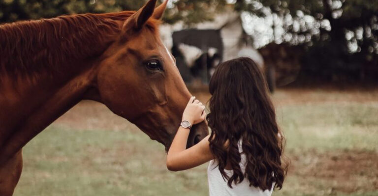 14 Unique Traits That Set Horses Apart From Other Pets