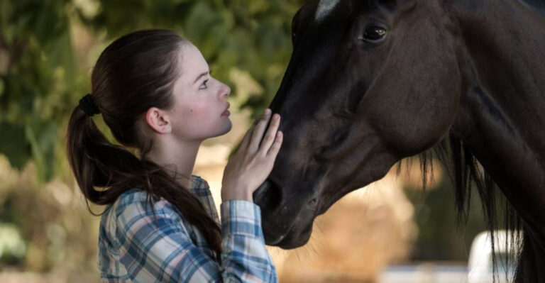 14 Famous Horses From Film And Fiction That Left A Lasting Impression