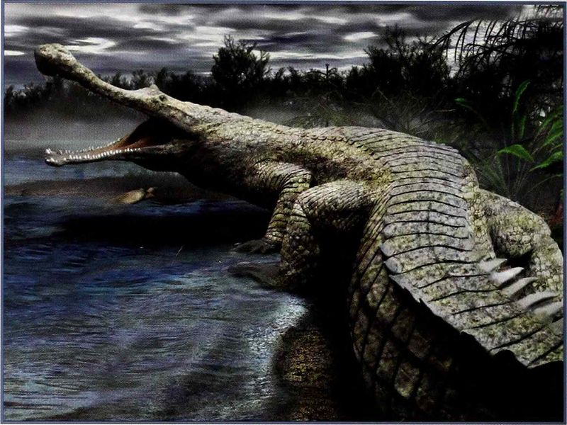 River Giants With Bone-Crushing Jaws