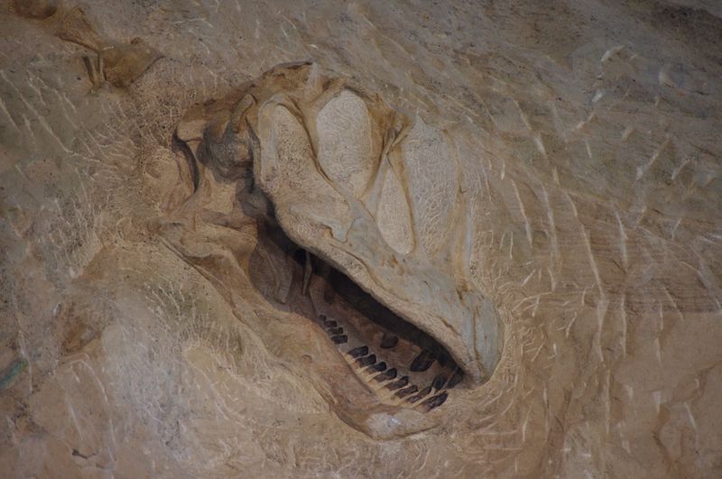 Dinosaur National Monument (Utah/Colorado)