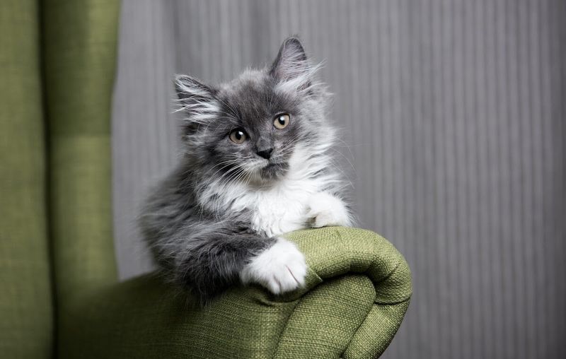 Moving Furniture Without Warning