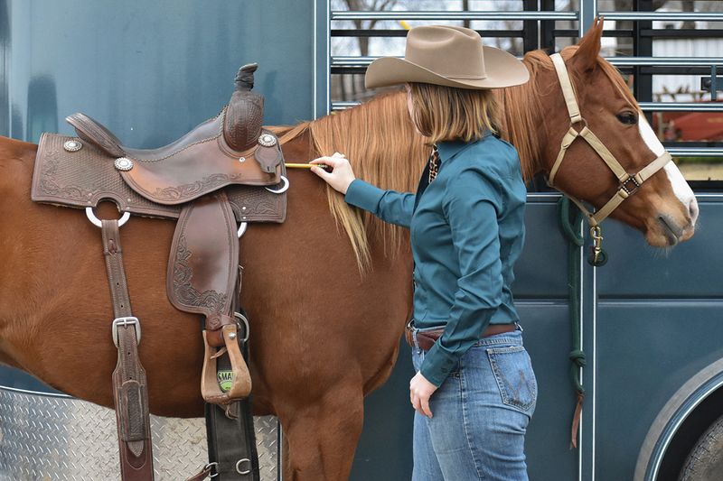 Prepare Your Horse's Equipment