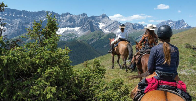 15 Essential Tips For Taking Your Horse On A Long Trail Ride