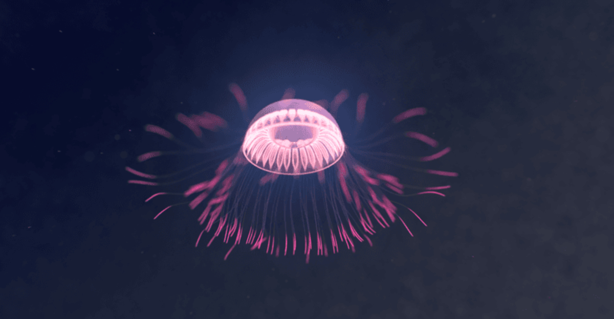 15 Facts About The Rare Jellyfish That Glows Like An Underwater Firework