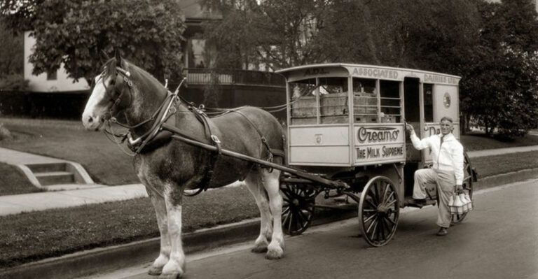 15 Forgotten Horse Jobs From History That No Longer Exist