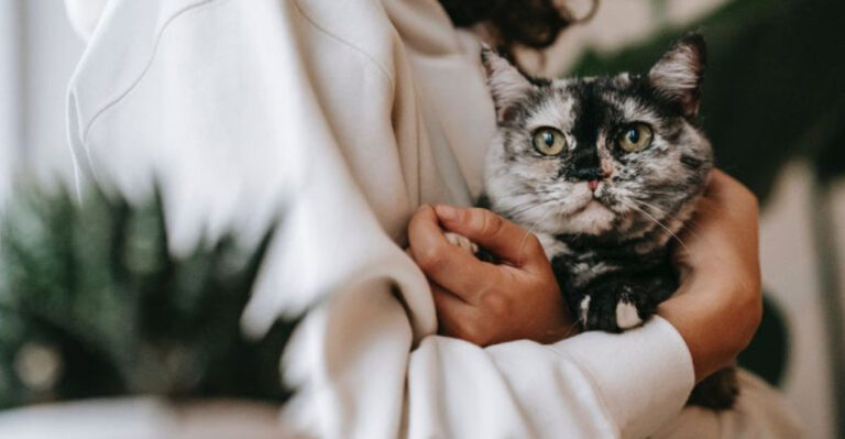 15 Mental And Physical Benefits Of Having A Cat