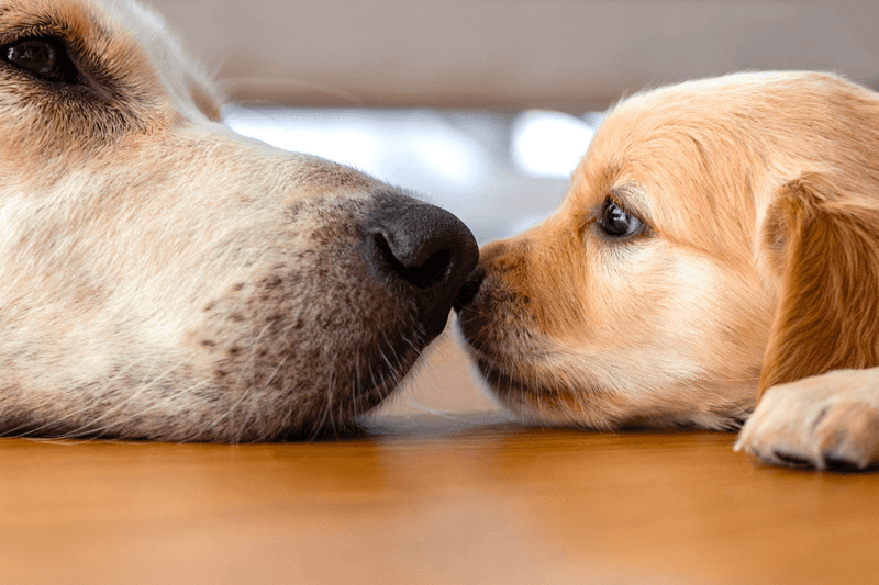 Assuming Instant Friendship