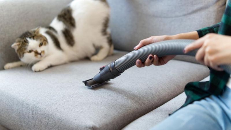 Vacuum Cleaner Roars