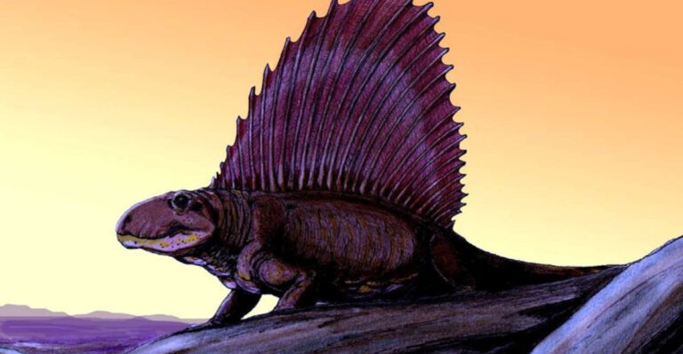 15 Prehistoric Animals That Are NOT Dinosaurs