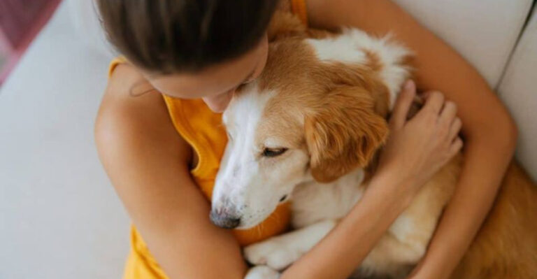 15 Proven Ways To Keep Your Dog Calm During A Thunderstorm, According To A Vet