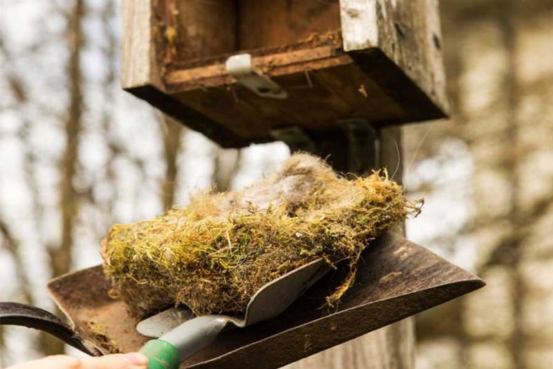 Watch For Abandoned Nests