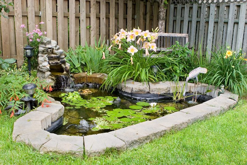 Add A Small Pond