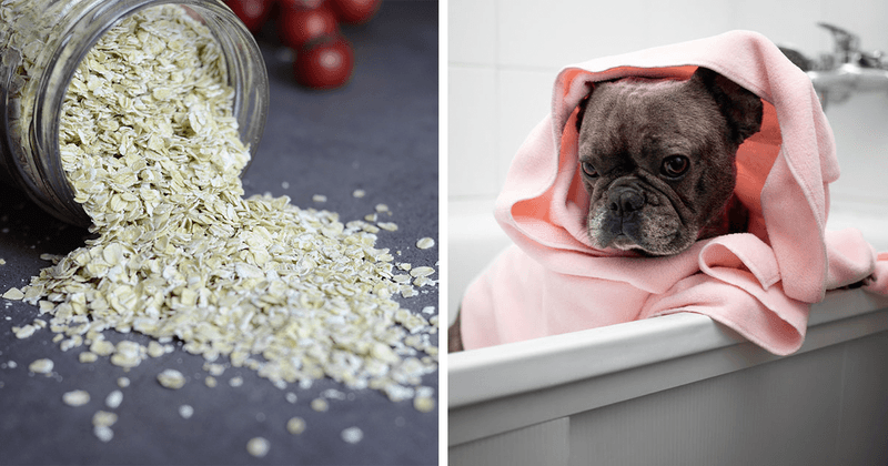 Oatmeal Bath Soothes Irritated Skin