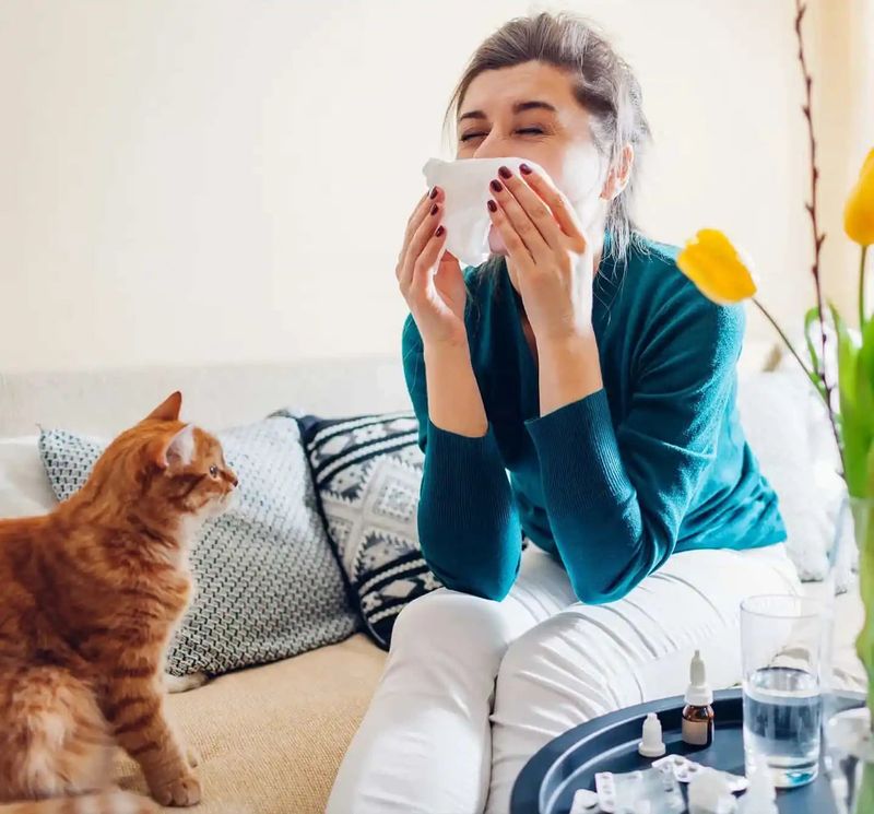 People With Severe Allergies