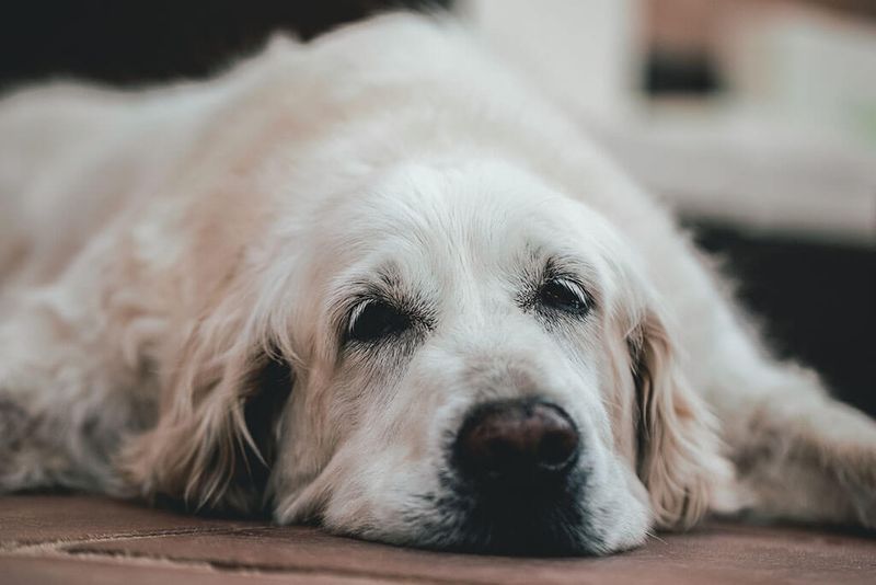 Slowing Energy Levels