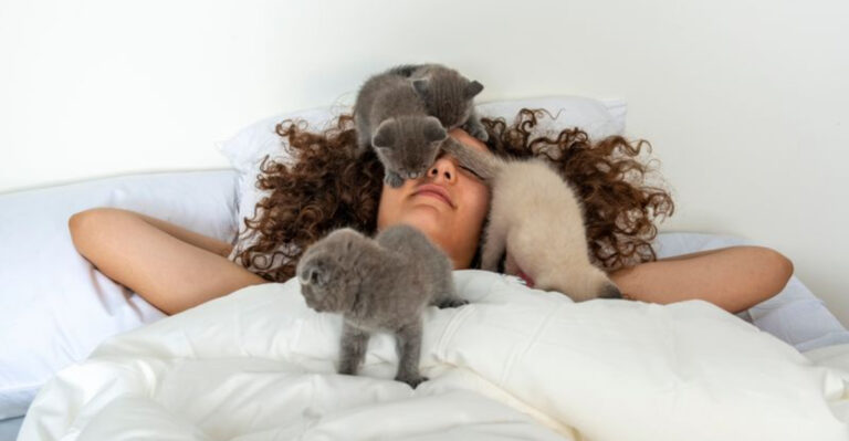 15 Ways To Share Your Bed With Your Cat And Still Sleep Well