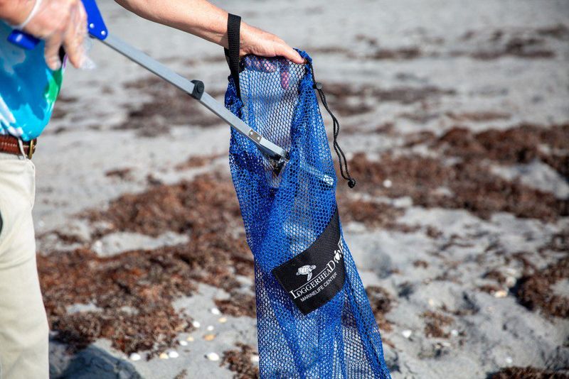 Beach Clean-Up Champion