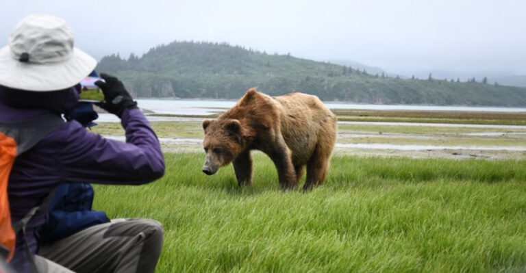 16 Alaska Wildlife Viewing Mistakes You Should Avoid