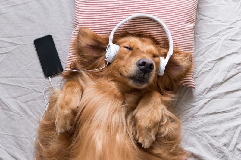 Play Soft Music