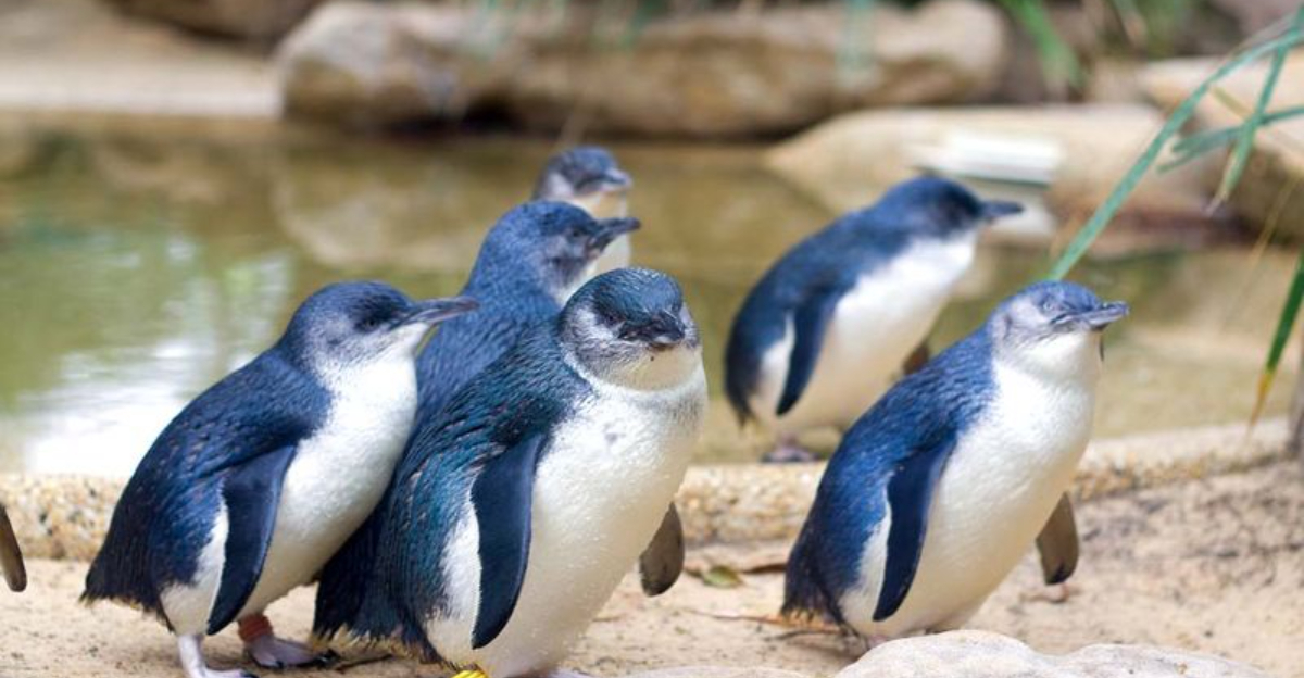 16 Endangered Bird Species Fighting To Survive In A Changing World