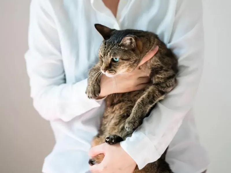 Forcing Physical Affection