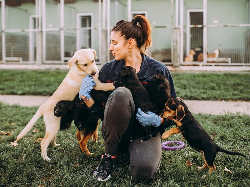 Choosing The Right Pet For Your Lifestyle