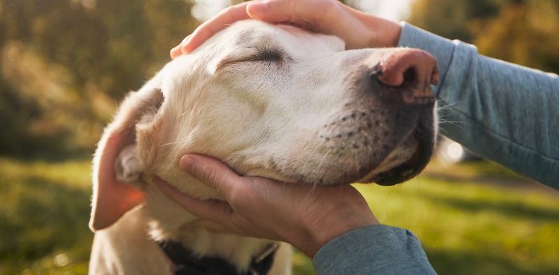 Unconditional Love Without Judgment