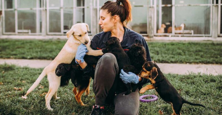 18 Best Dog Breeds To Adopt