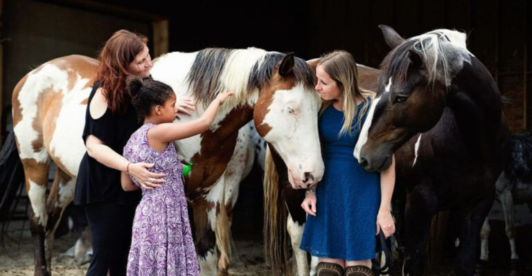 18 Fascinating Traits That Set Horses Apart From Every Other Pet