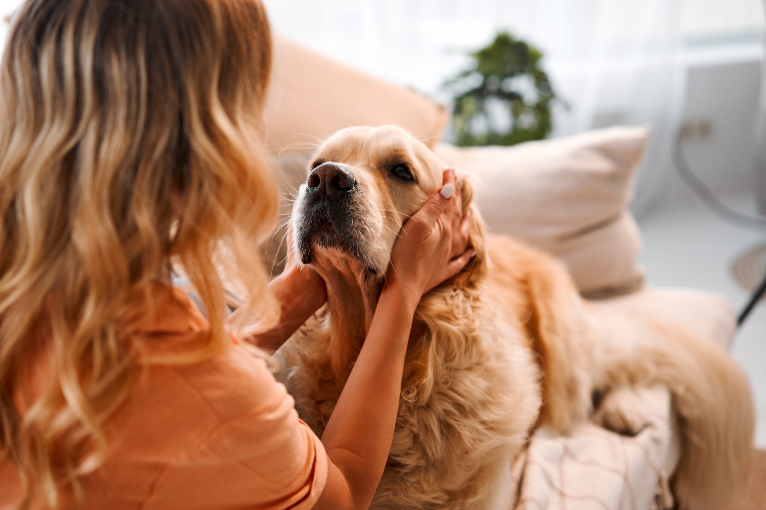 32 Truly Empathetic Dog Breeds That Are Most In Sync With Your Emotions