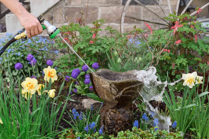 Keep Water Fresh Daily