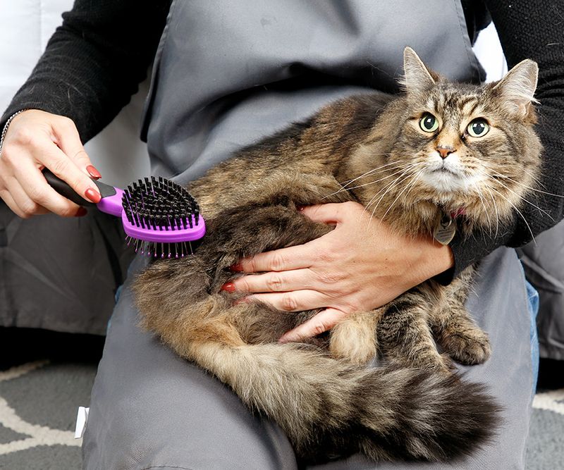 Dealing With Shedding
