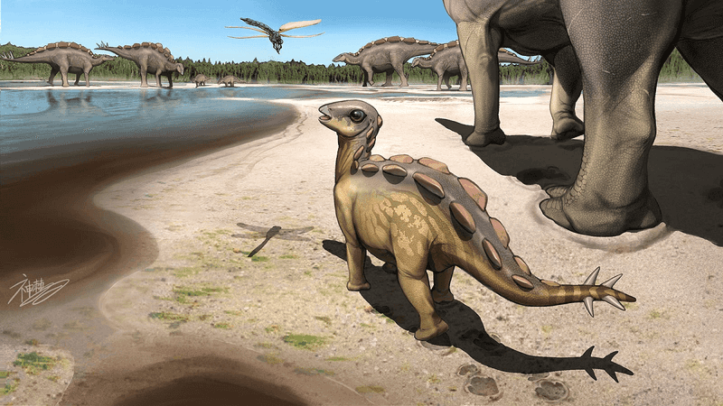 The Miniature Giants