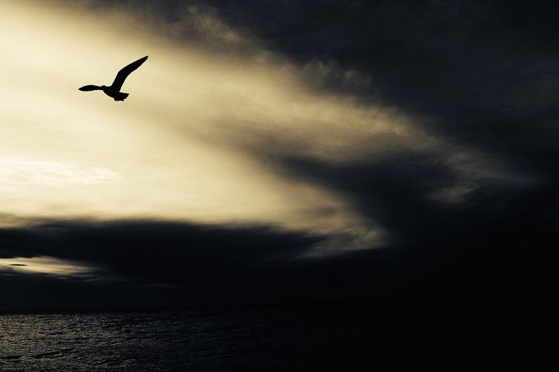 Flying Through Hurricanes And Storms