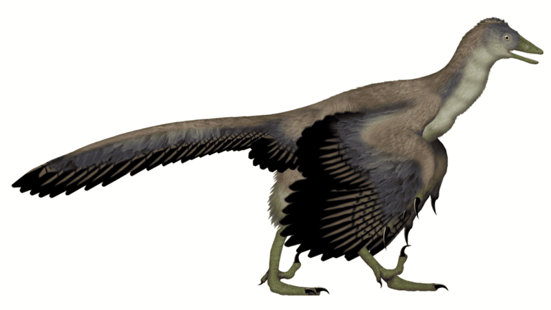 Global Impact On Paleontology