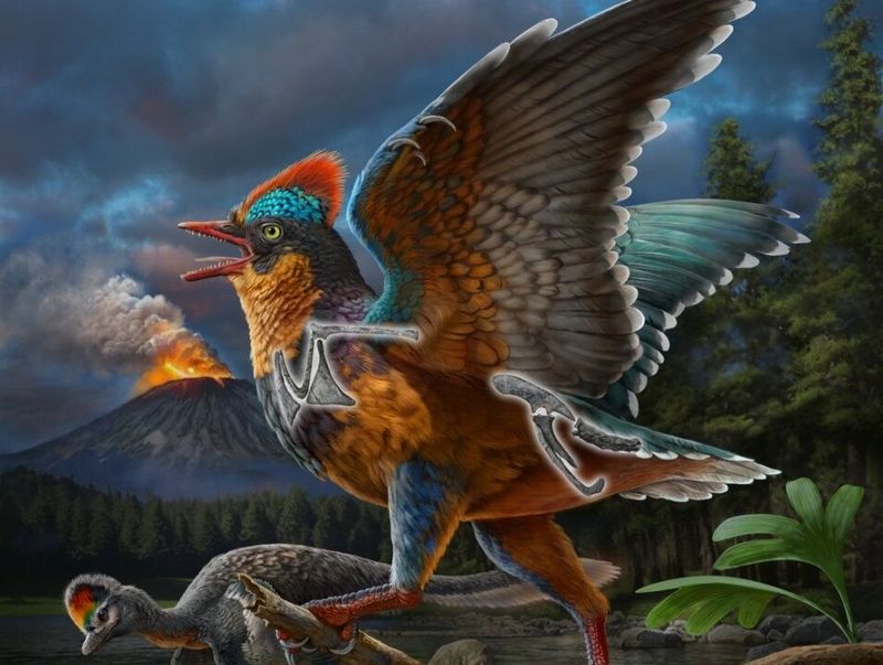 The Dinosaur-Bird Transition
