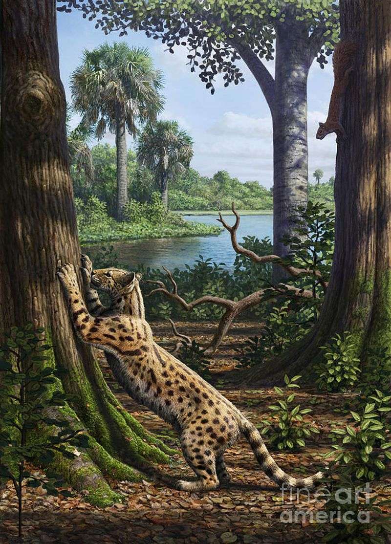Cat Family Ancestor