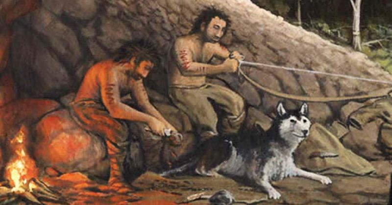 Historical Partners Through Human Evolution