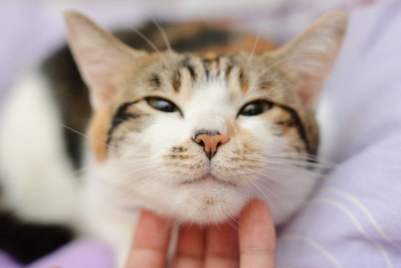 Sensing Your Emotional Changes Before Others