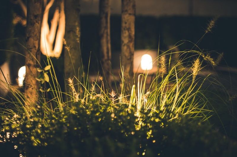 Keep Night Lights Minimal