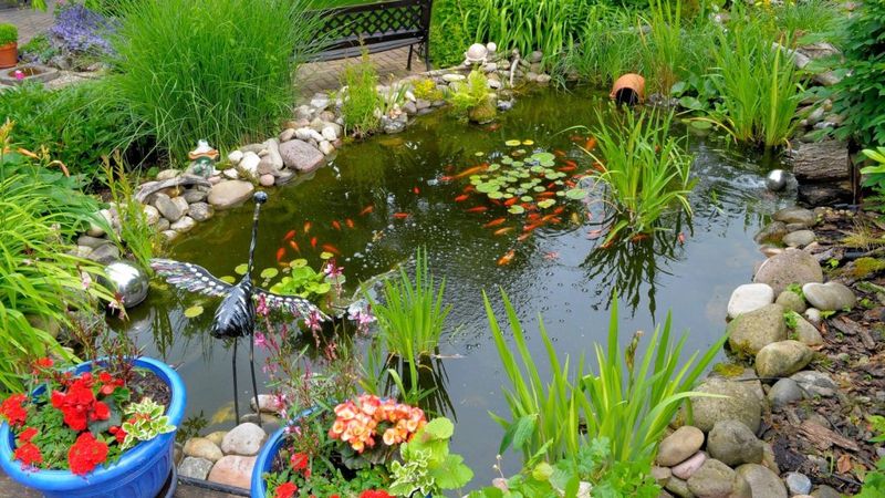 Keep Fish Population Low