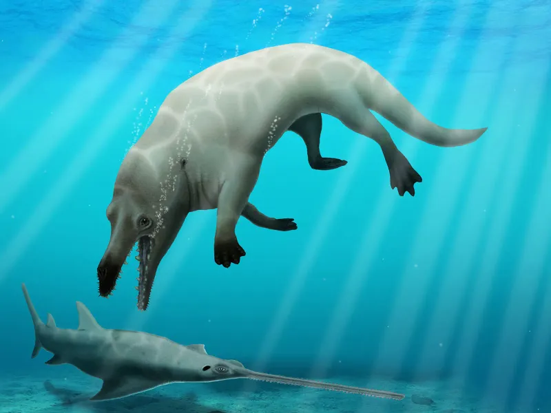 Ambulocetus