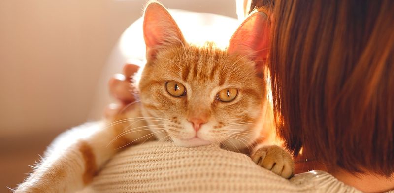 Female Gingers Are Rare Treasures