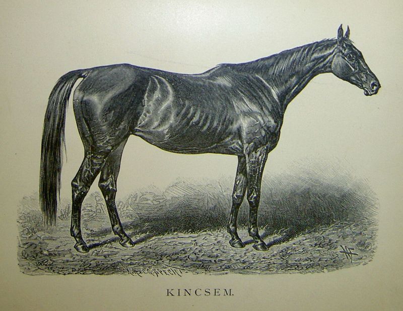 Kincsem: The Unbeaten Hungarian Wonder
