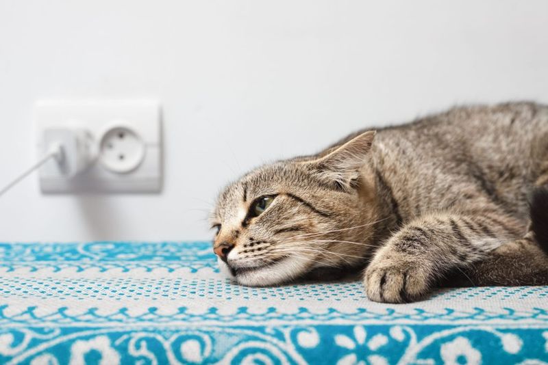 Reluctance To Move