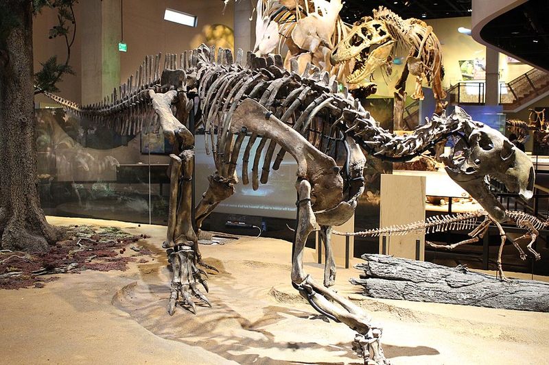 Tenontosaurus