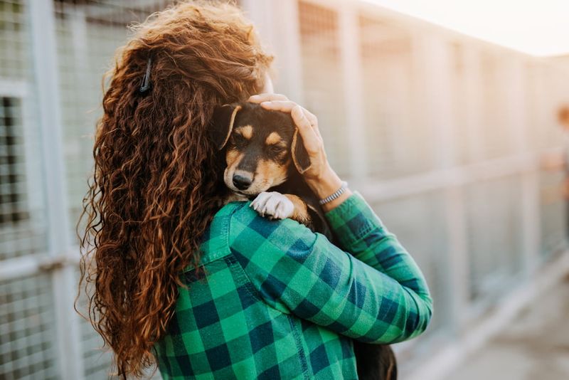 You Can’t Bond With A Shelter Dog
