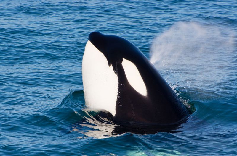 Monterey Bay