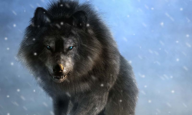 Dire Wolves In Northern Minnesota