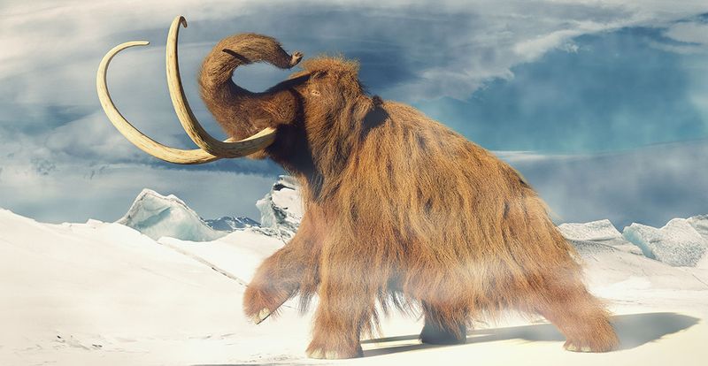 Mammoth